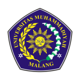 Logo-UMM